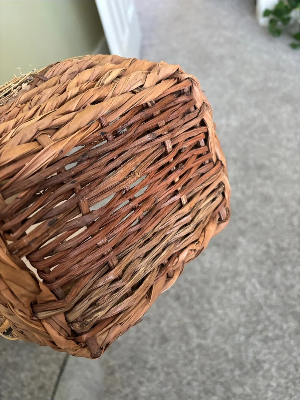 Pottery Barn Natural Woven Basket Set in Brown Tones